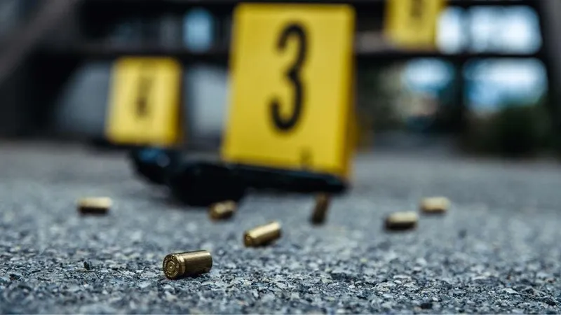Security guard shot dead protecting Johannesburg power supply infrastructure