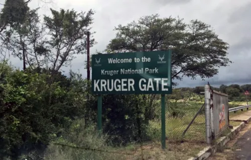 Canadian tourist dies after accidental firearm discharge at Kruger National Park bush braai