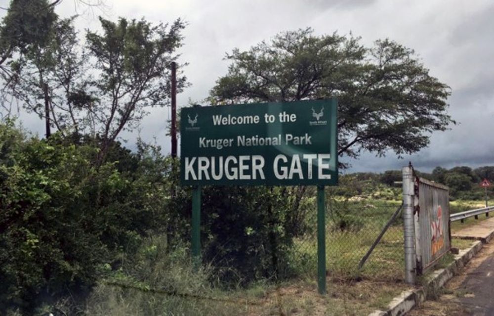 Helicopter vanishes inside Kruger National Park with four aboard