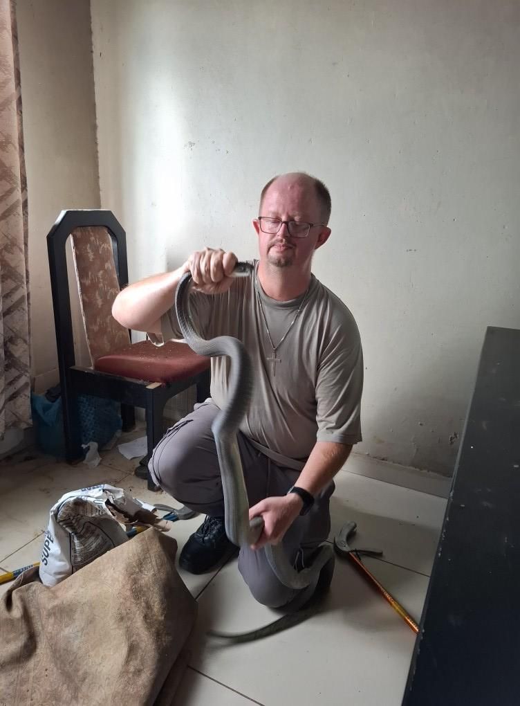 Snake catcher battles two-metre black mamba in Cato Manor home
