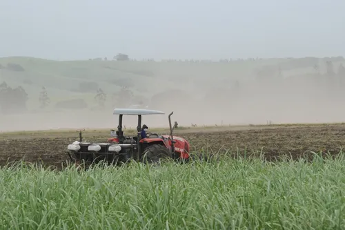 El Niño threatens South Africa’s farmers as dry, hot summer looms