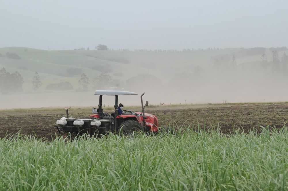 Proposed R17 billion bioethanol plant offers hope for KZN's sugarcane farmers
