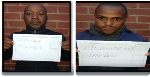 R20 000 fine or six years’ imprisonment: Court cracks whip on illegal ...