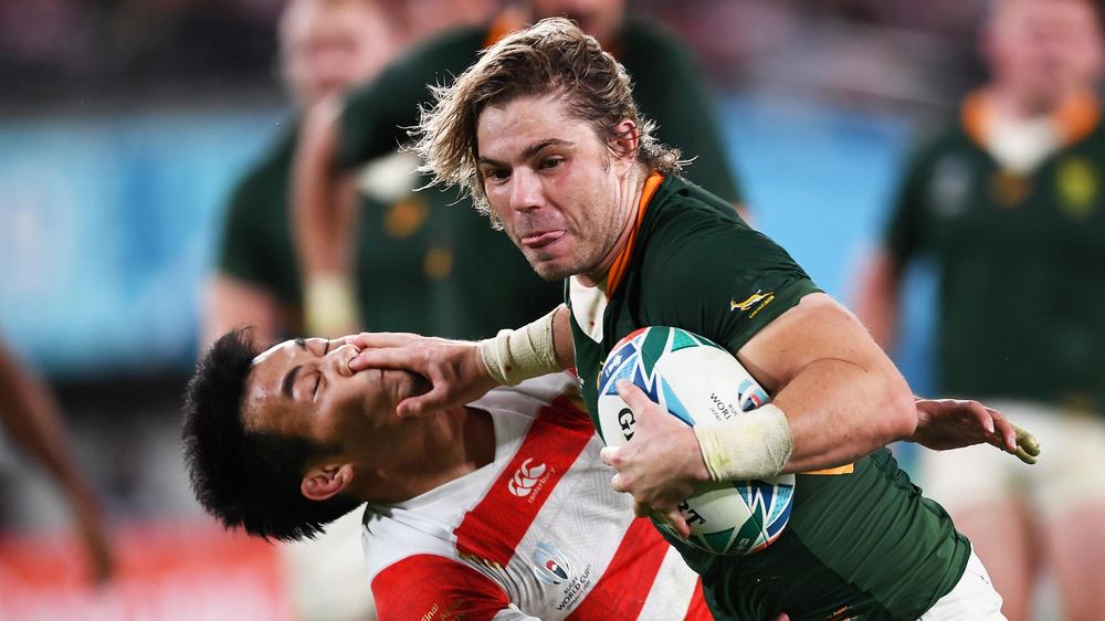 Bokke climb WC ladder