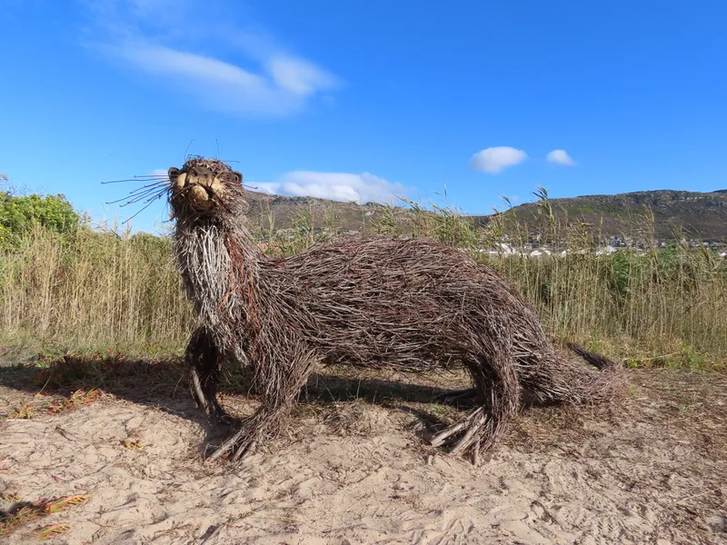 Cape clawless otter sculpture unveiled