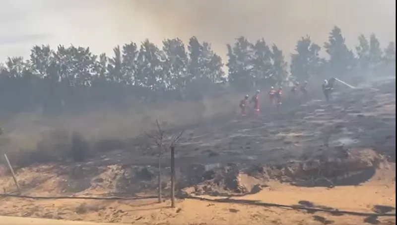 Firefighters contain three Cape Winelands fires with no damage reported