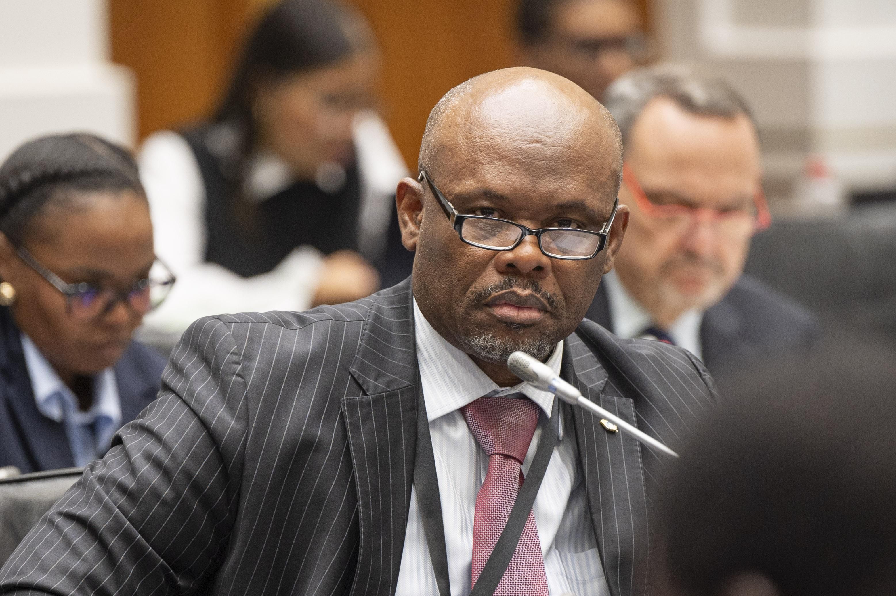 MPs express concerns over Sibiya's testimony linking him to 'Cat' Matlala  and Brown Mogotsi