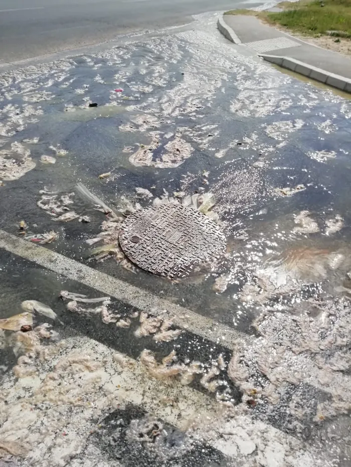 Residents fear for their health as Bobs Way and the canal in Eerste River are covered in filth from overflowing storm and sewage drains. l SUPPLIED