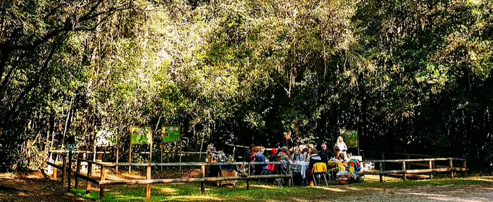  The FeedmeSlowly Feast in the Forest experiences at Diepwalle. 