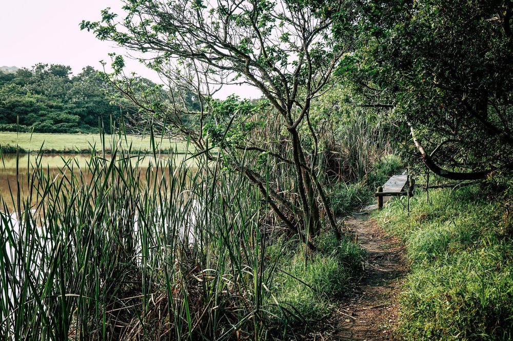 Ditch the crowds: The ultimate Sho’t Left guide for introverted dads this Father’s Day