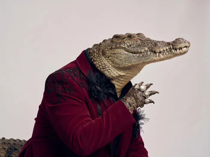 Move over Jonasi, Henry the Croc is the 'Polygamist' of KZN's Crocworld ...