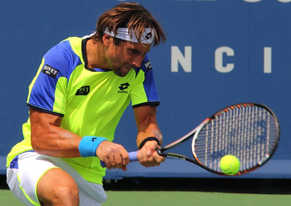 Ferrer reaches Valencia Open semis