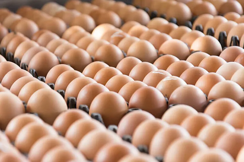 Quantum Foods warns of tough second half due to impacts from Middle East conflict