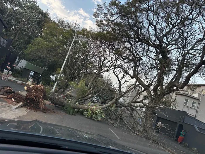 Strong winds cause power outages in 15 areas of eThekwini Municipality