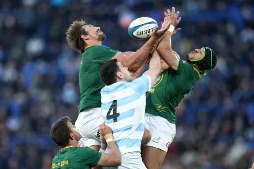 Rusty Springboks dig deep against Argentina to provide sobering warm up for All Blacks
