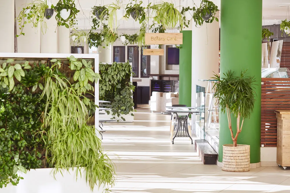 The Botany Cafe at The President Hotel.