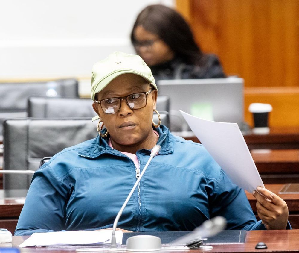 Public participation process valuable but also a 'mixed bag' for Parliament's Ad Hoc committee