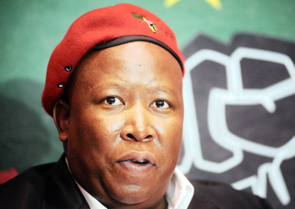 Malema sequestration postponed