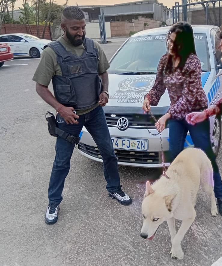 WATCH: Stolen Husky Hunter reunited with family after search leads to Lamontville - IOL