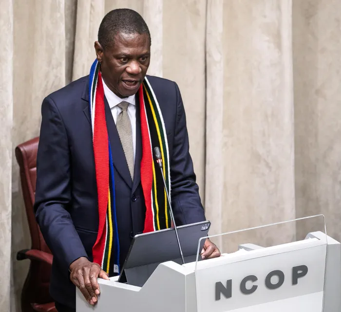 During a session of the National Council of Provinces (NCOP), the Deputy President of the Republic, Paul Mashatile, answered oral questions. 