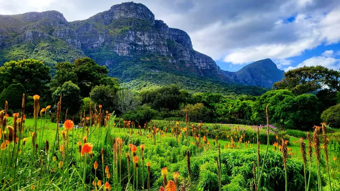 Kirstenbosch garden landscape 
