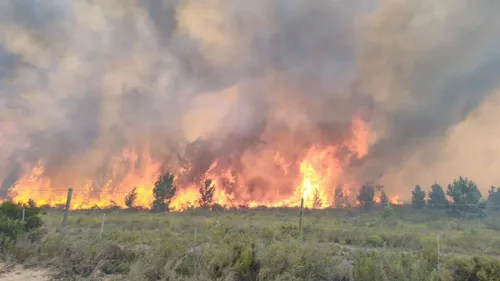 CapeNature warns of intensifying wildfires amid climate change