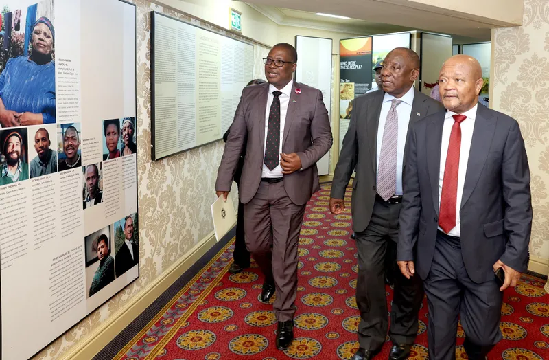 Madlanga Probe: A Fragile Promise of Criminal Justice Reform