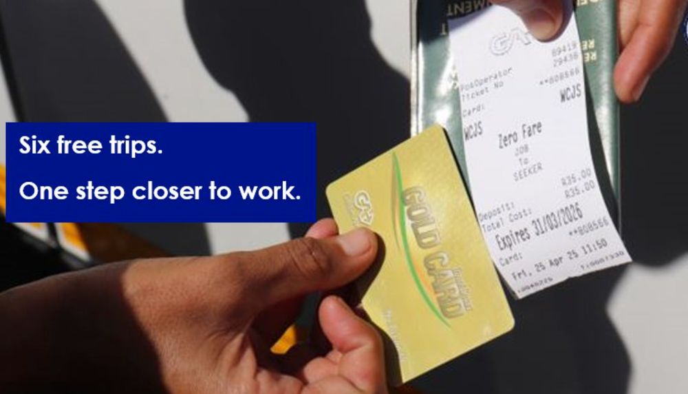 Free bus travel rolled out for jobseekers in Western Cape