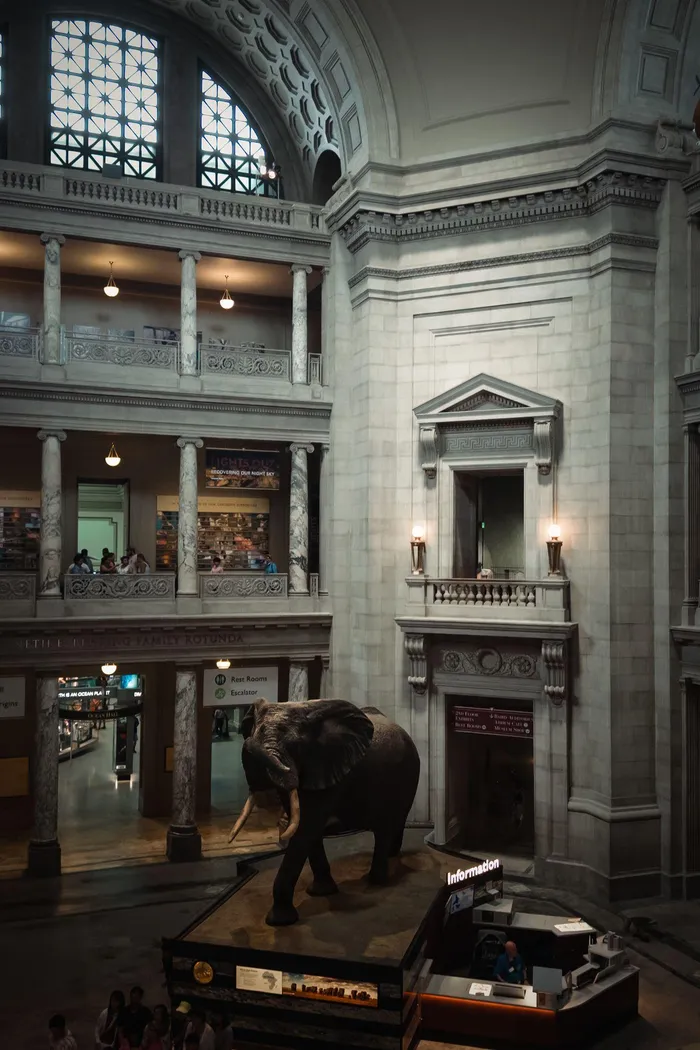 The National Museum of Natural History offers another unforgettable experience, featuring dinosaur fossils, gemstones and exhibits that explore the natural world.