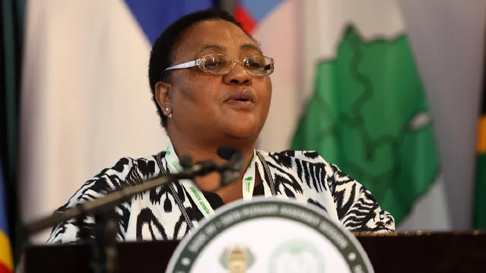 National Assembly Speaker, Thoko Didiza