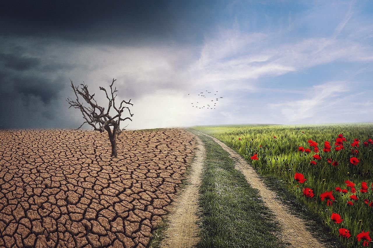 Climate action can’t wait – and neither can Africa