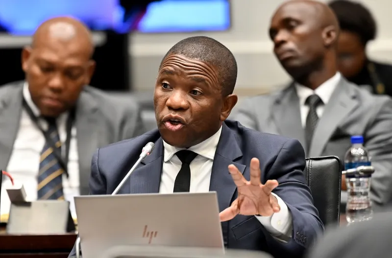 Parliamentary Probe A Crucial Step for Criminal Justice Reform