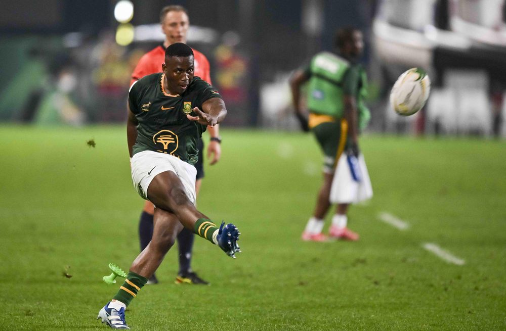 Rassie Erasmus gives rating to debutant Moyo in Springbok rout of Wales
