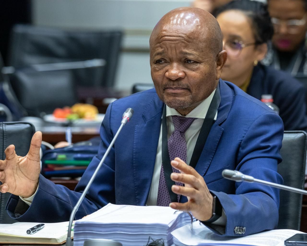 Parliamentary inquiry extends testimony of suspended Police Minister Senzo ...