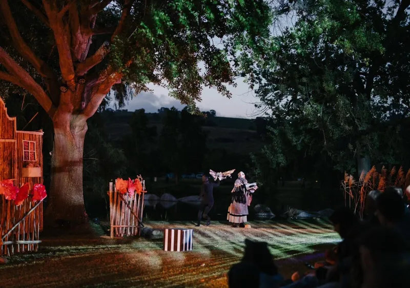 A Summer Dream comes to Spier this festive season