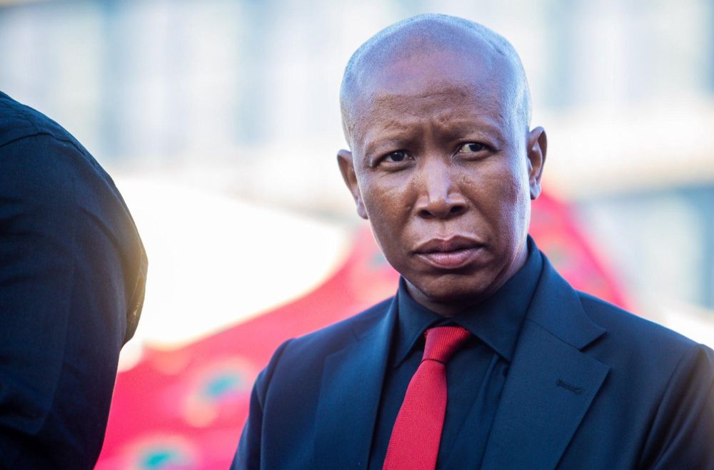 'He lost his mother young': Social worker pleads for leniency in Malema ...