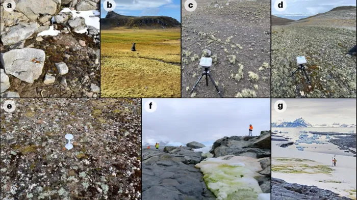 The first continent-wide survey of Antarctic vegetation unveils previously unknown plant growth across the polar region. The study sets the stage for tracking climate change impacts on fragile ecosystems. Picture: A. Thomson