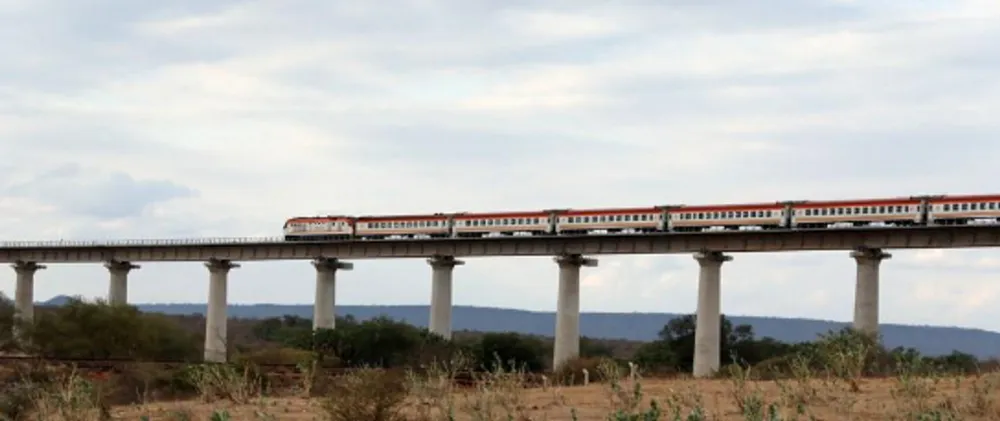 A freight train runs on the Mombasa-Nairobi Railway track bypassing the mangroves in Mombasa, Kenya, on July 27, 2022. (Xinhua/Dong Jianghui)