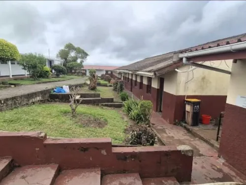 Primary school staff accused of taking food meant for hungry learners