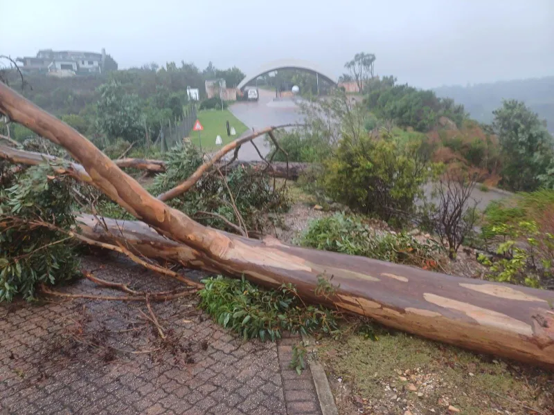Garden Route storm: Social worker killed, widespread power outages and road closures