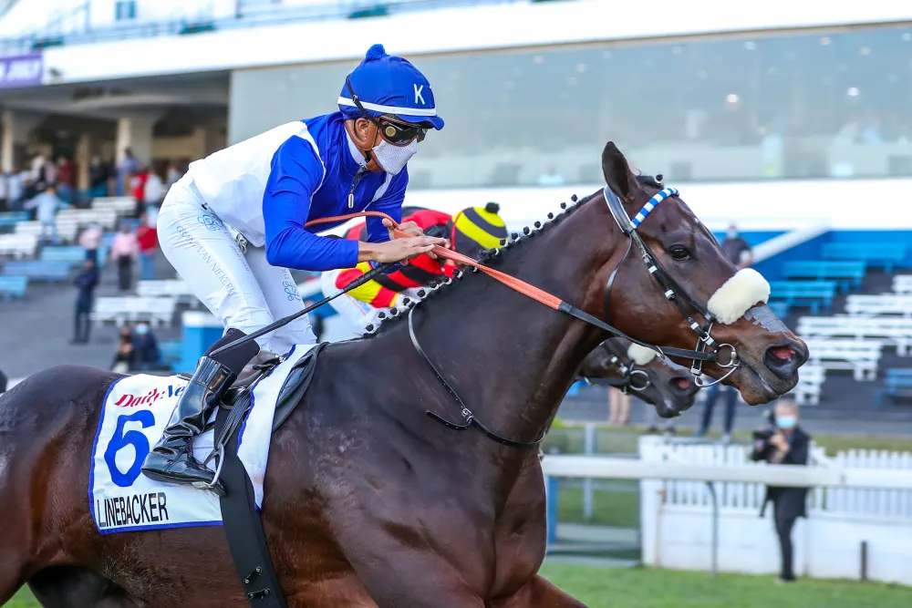 Linebacker laid down the three-year-old marker for the Gr1 Vodacom Durban July with a smart victory in the Gr1 Daily News 2000 run at Hollywoodbets Greyville. 