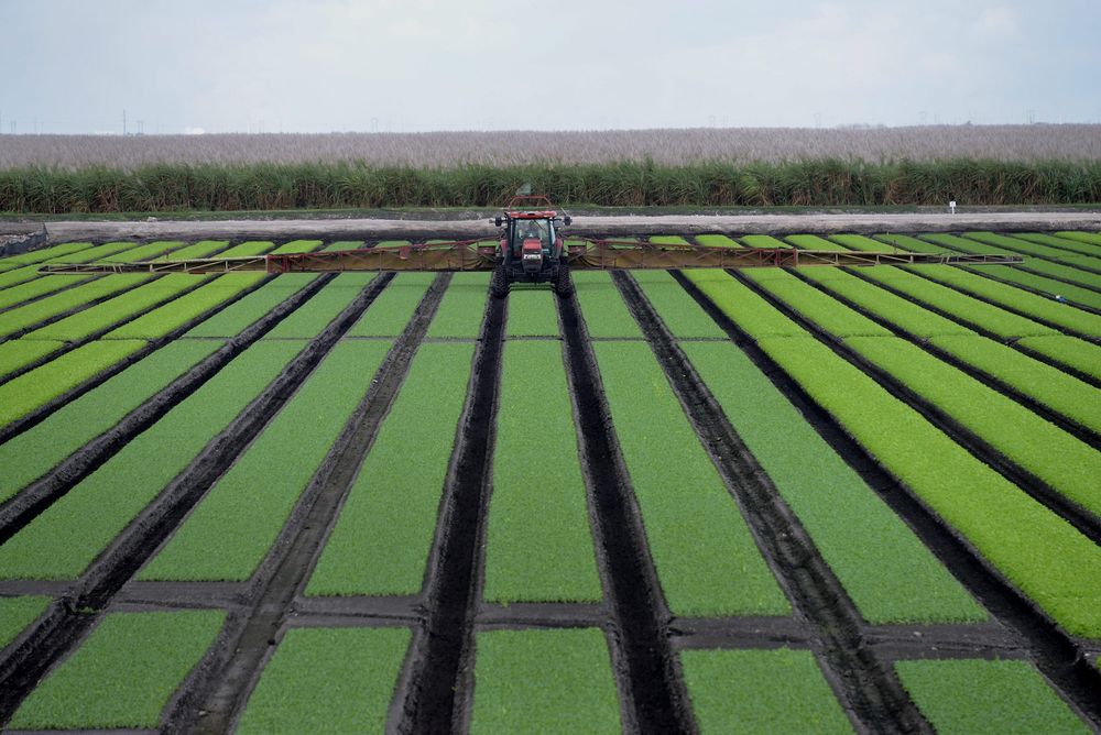 How Middle Eastern conflict is driving up fertilizer costs and food prices in SA