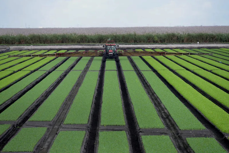 How Middle Eastern conflict is driving up fertilizer costs and food prices in SA