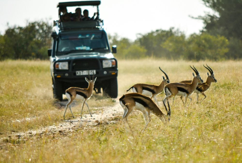Unforgettable and untamed: Africa’s top off-the-beaten-path safari experiences