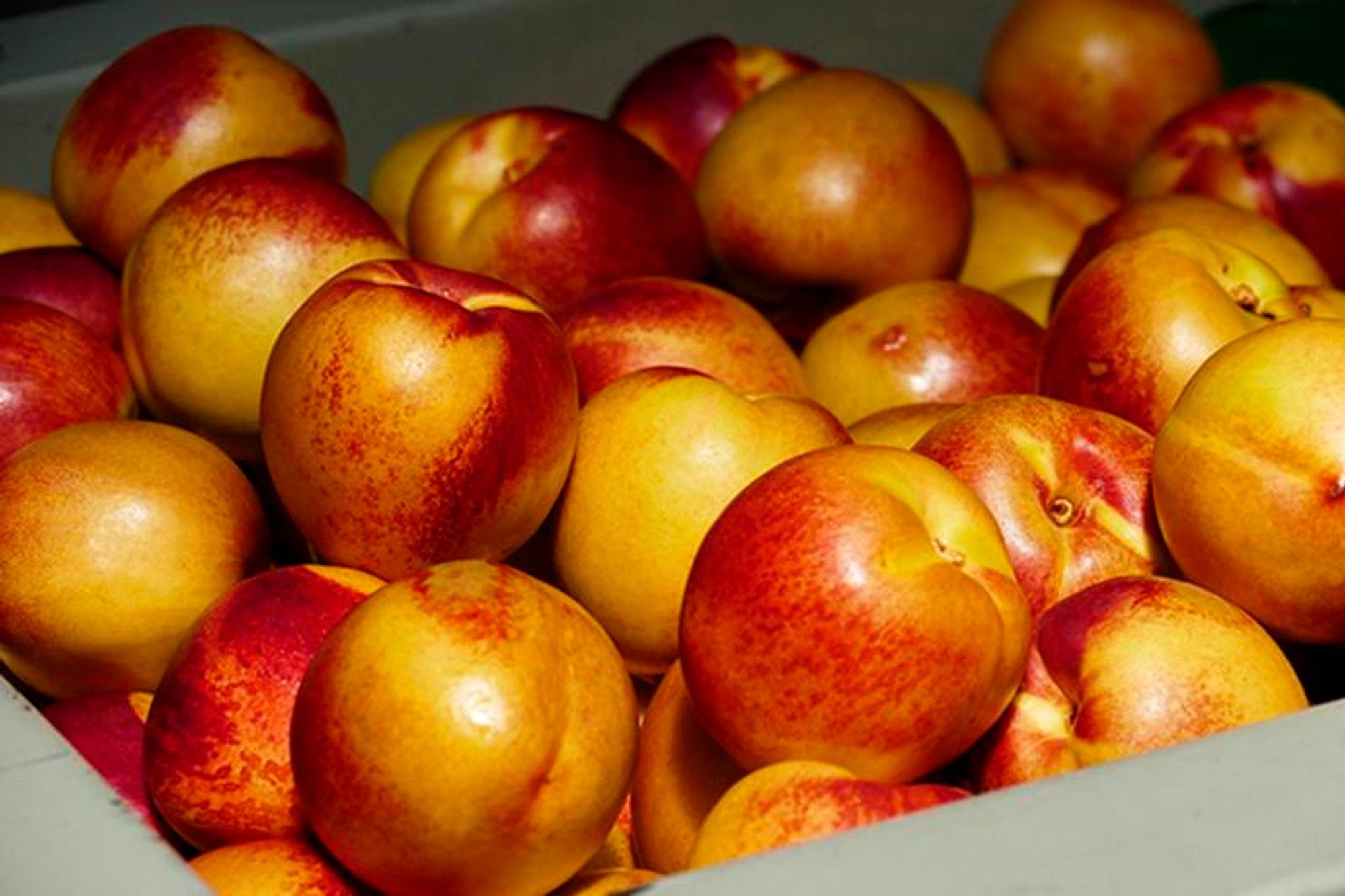 South Africa's fruit industry set for R400 million boost with new access to China