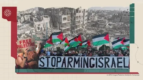 Palestine's struggle: A century of resilience against erasure