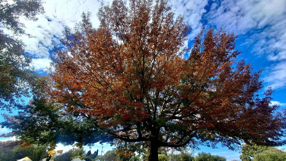 On This Day: Laws, legends, and landmark moments that shaped the world