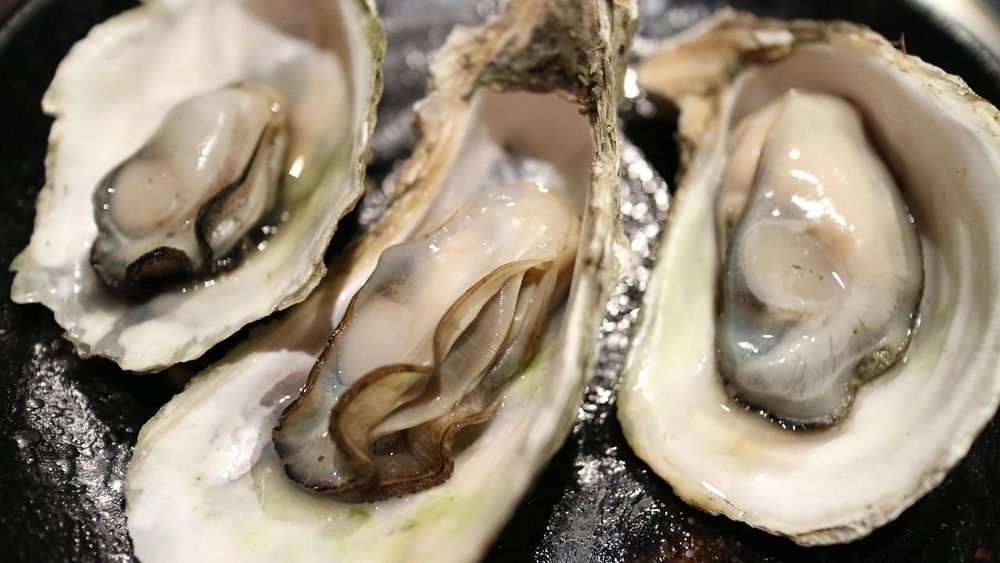 Thieves steal 400,000 oysters worth $250k
