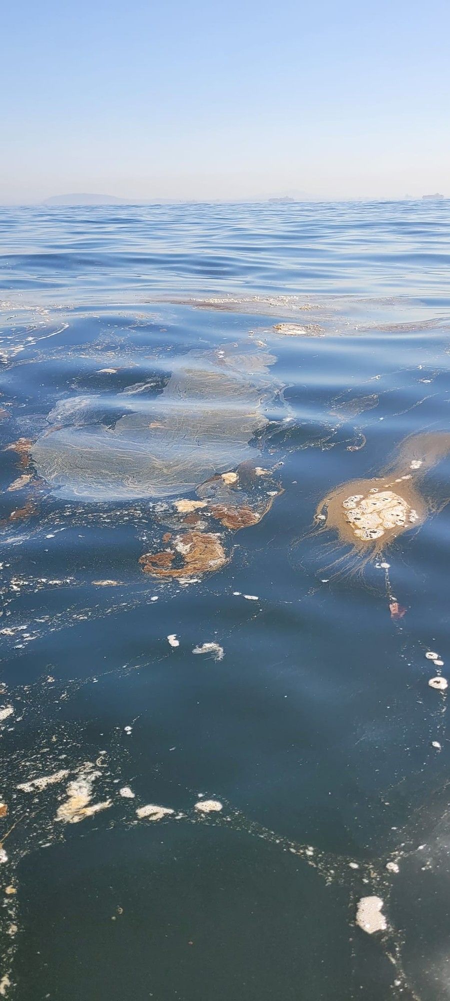 DFFE accused of 'aiding and abetting' Cape Town’s unsustainable sewage ...
