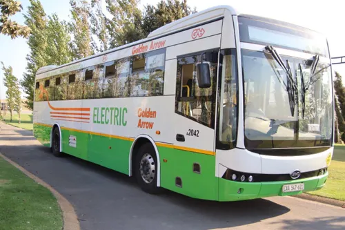 Transforming public transport: Golden Arrow's electric bus fleet